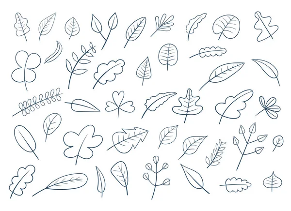 Autumn Leaf Vector Design Illustration Isolated White Background — Stok Vektör