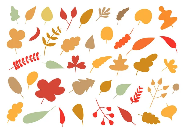 Autumn leaf vector design illustration isolated on white background