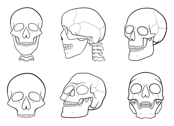 Skull Vector Design Illustration Isolated White Background — 스톡 벡터