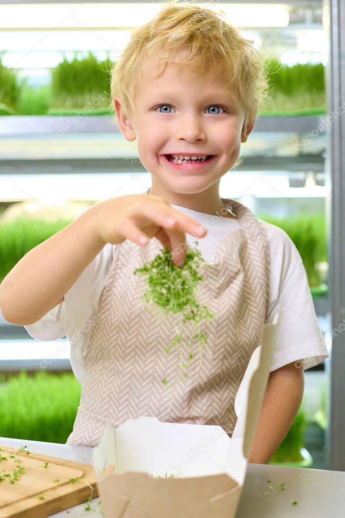 Vertical photo of a happy blond boy in an apron neatly folding fresh micro-greens into ecological packaging. Concept of environmentally responsible business and proper nutrition.