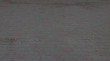 Islak fayanslı kaldırımda sağanak yağış.