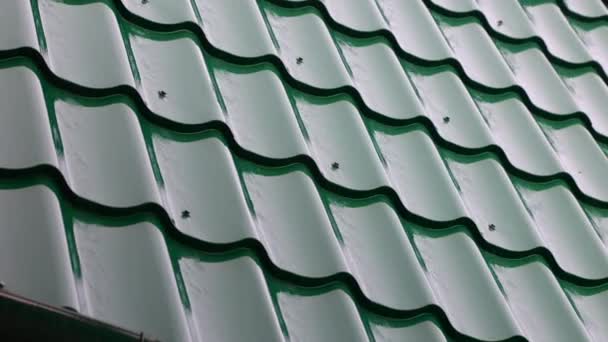 Rainwater drips down from the green tiled roof. — Stockvideo
