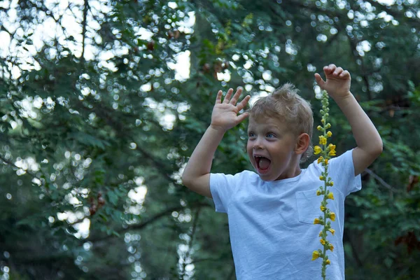 Chico rubio divertido en una camiseta blanca está feliz de que encontró una flor amarilla alta — Foto de Stock
