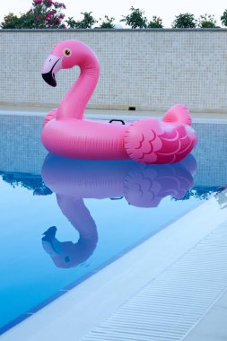 Beautiful pink inflatable flamingo swims in the hotel pool