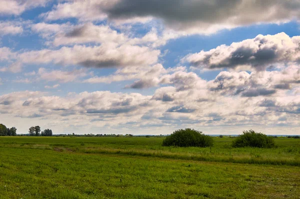 Sabahları mavi gökyüzü ve yeşil çimlerin olduğu güzel bir doğa manzarası..