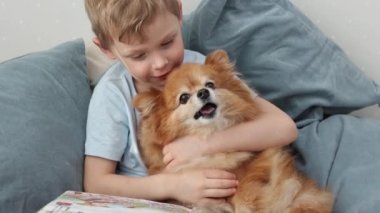 Sarışın çocuk nazikçe sarılır ve güzel bir köpeği öper. Alman köpeğiyle birlikte mutlu bir çocuk yastıklarla yatakta oturmuş kitap okuyor. Sevimli bir evcil hayvanla arkadaşlık. Yavaş çekim 4k video.