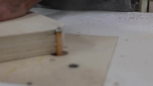 Timmerman rondt de hoeken van een houten plaat af op een freesmachine in werkplaats — Stockvideo