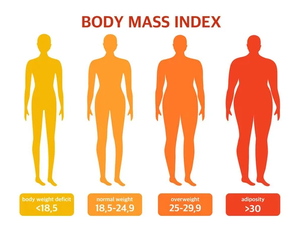 Διαφορετικά Είδη Σχημάτων Δείκτης Μάζας Σώματος Έννοια Της Σωματικής Θετικότητας — Διανυσματικό Αρχείο