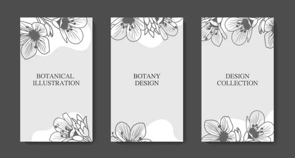 Set Cartes Postales Autocollants Style Plante Avec Des Feuilles Des — Image vectorielle