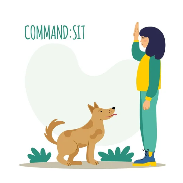 狗训练 宠物执行静坐命令 培训进程 一个简单的图标 在白色背景上孤立的可编辑矢量说明 — 图库矢量图片