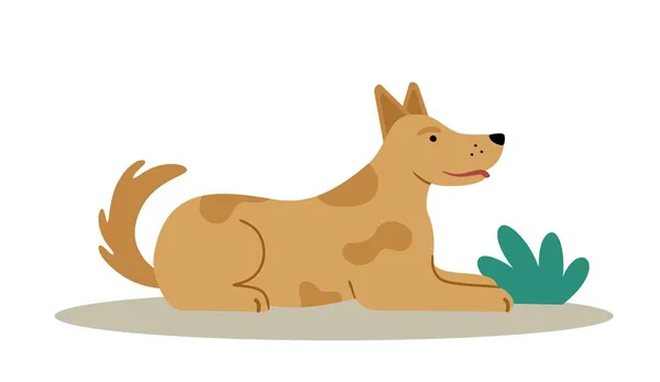 Hunden Ett Gulligt Glatt Husdjur Redigerbar Vektor Illustration Isolerad Vit — Stock vektor