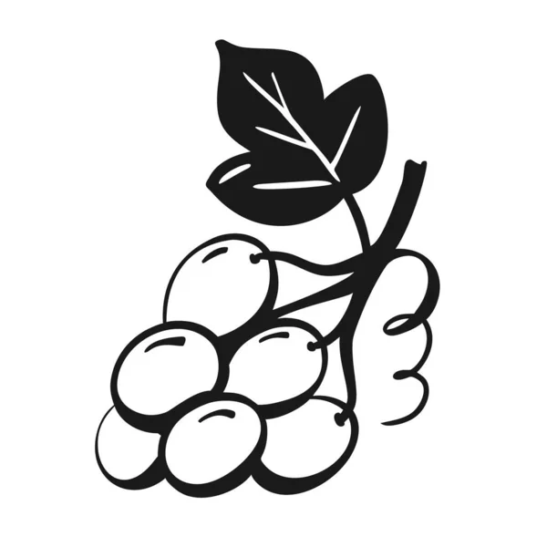 Winogrona Symbol Wina Wektorowy Obraz Składników Żywności Projekt Naturalnych Owoców — Wektor stockowy