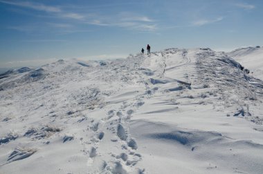 Winter in the Bieszczady National Park. Meadow Bukowe Berdo.