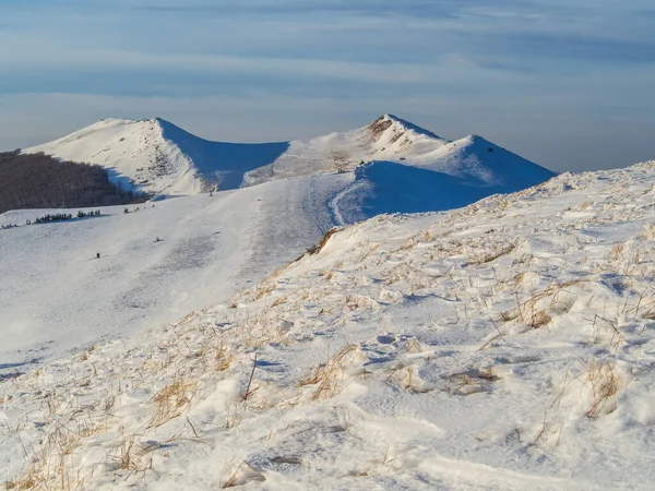 Bieszczady Nationalpark Winter Schneebedeckte Hänge Der Polonina Wetliska Anfahrtsweg Vom — Stockfoto