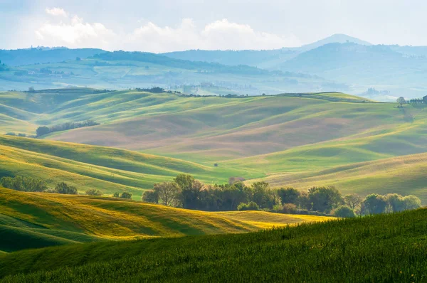 Frühling Toskana Blick Auf Die Grünen Felder Die Von Den — Stockfoto