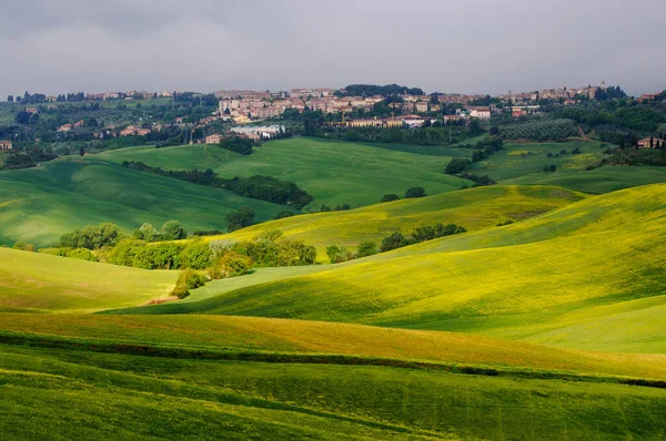 Frühling Toskana Blick Auf Die Grünen Felder Die Von Den — Stockfoto