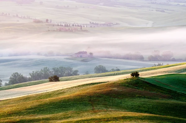 Mai Morgen Blick Auf Die Felder Die Von Den Sonnenstrahlen — Stockfoto