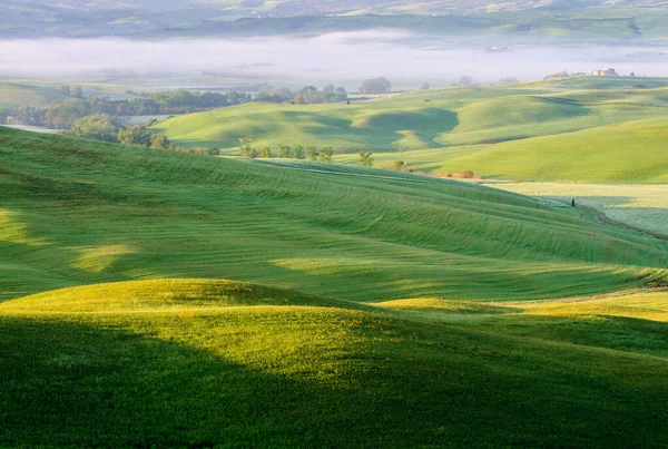 Wiosenny Poranek Toskanii Widok Słoneczne Wzgórza Dolinie Jest Mgła — Zdjęcie stockowe
