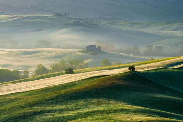 Frühling Toskana Blick Auf Die Grünen Felder Die Von Den — Stockfoto