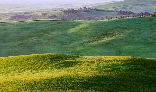 Frühling Toskana Blick Auf Die Grünen Felder Die Von Den — Stockfoto