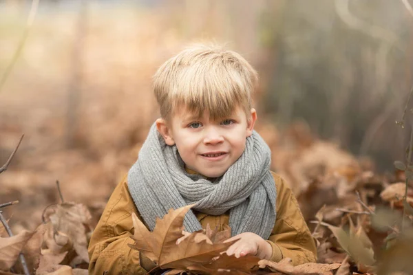 Boy Hides Looks Out Autumn Leaves Ground Concept Childhood — Foto Stock