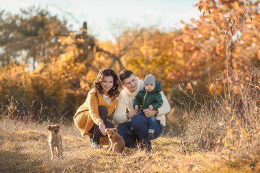 Genç bir adam, bir kadın ve küçük oğulları Fal 'da iki kırmızı köpek yavrusuyla eğleniyorlar.