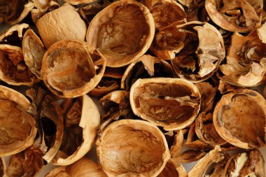 Kuru ceviz kabukları desenli arkaplan, kapat