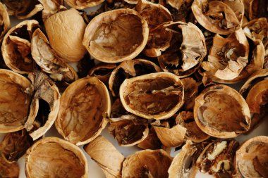 Kuru ceviz kabukları desenli arkaplan, kapat