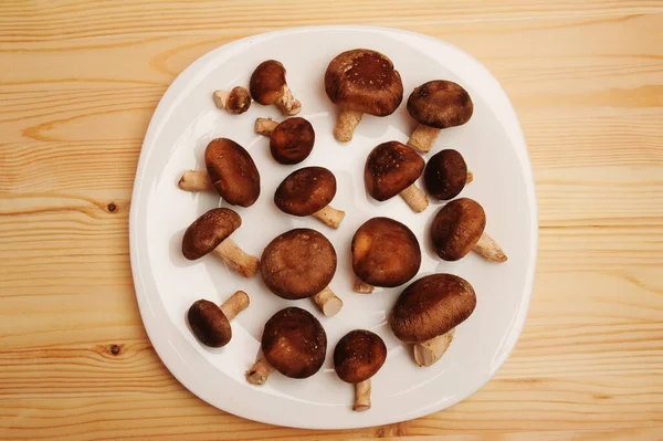 白盘上的生蘑菇 顶部视图 木制桌子 — 图库照片