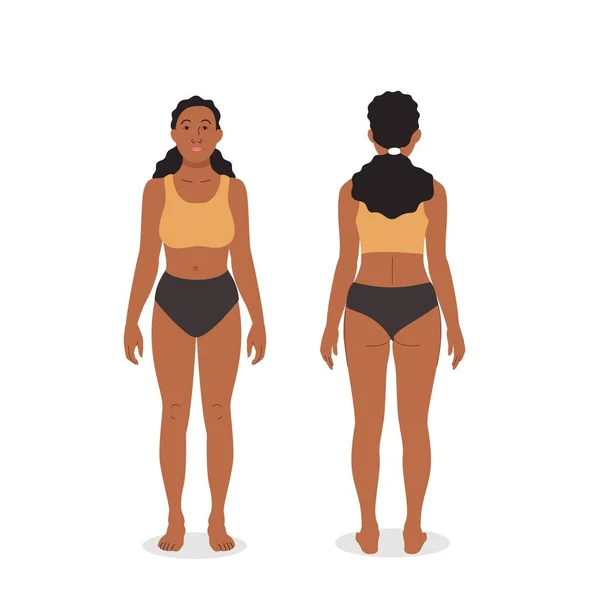 Kadın gövdesi ön ve arka, kadın gövdesi ön ve arka. 