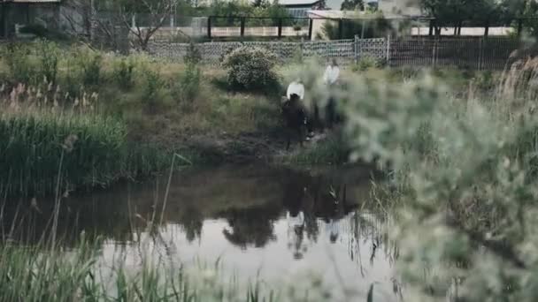 Молоді жінки катаються на каштанових конях вниз по горбистому березі озера — стокове відео
