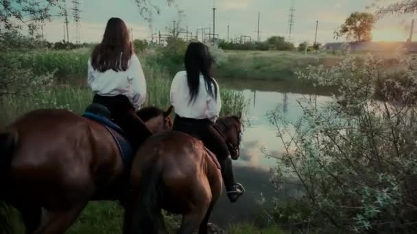 Брюнетка дівчина друзі їздити на конях бродячи річку на заході сонця — стокове відео