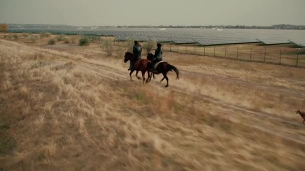 Vänner galopp ridning hästar längs fält med solpaneler — Stockvideo