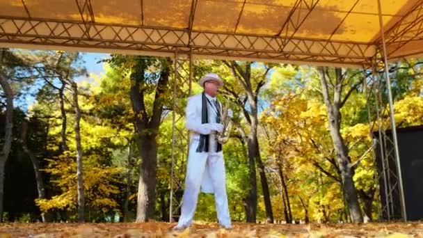 Älterer Mann in Weiß spielt Saxofon auf Parkbühne — Stockvideo