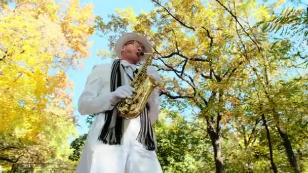 Idoso toca música com saxofone no parque de outono — Vídeo de Stock