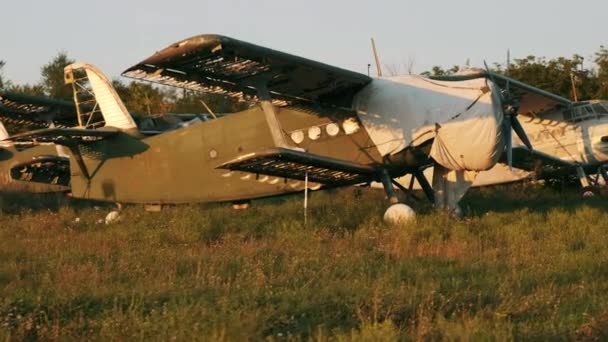 Un avion Antonov-2 en ruine et vert rouille se tient sur l'herbe d'un aérodrome sur un aérodrome d'entraînement militaire abandonné. — Video