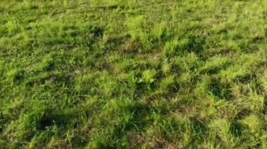 Eski Sovyet uçaklarının mezarlığı