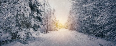 Ormanda karla kaplı bir yolu olan güzel kış manzarası