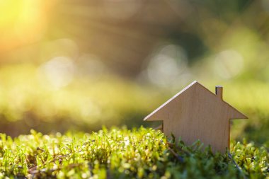 Ormanda bir ekoloji evi konsepti