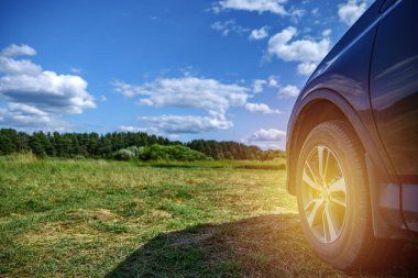 Gün batımında bir orman yolunda lastik, yaz gezisi konsepti.