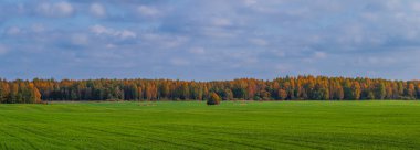 Tarım ve tarım arazili yeşil alan