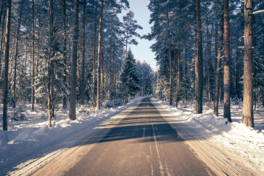 Karlı bir ormanda yolu olan güzel kış manzarası