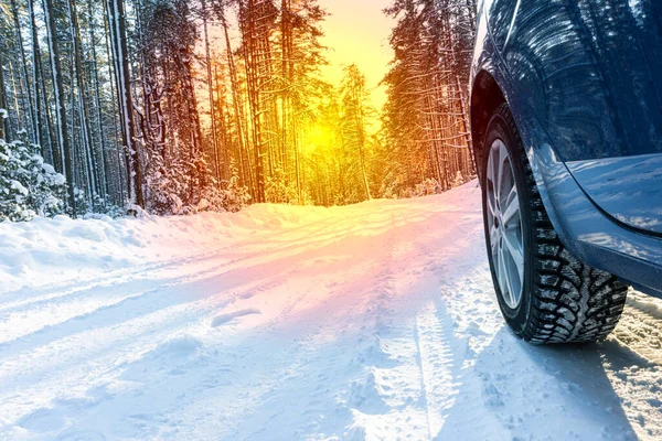 Ormanda Kışın Karla Kaplı Bir Yolda Çivili Araba Lastiği Kış — Stok fotoğraf