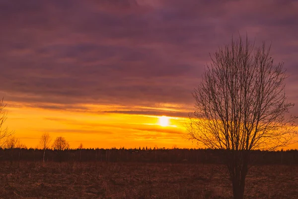 Krajobraz Zachodem Słońca Dramatyczne Niebo — Zdjęcie stockowe