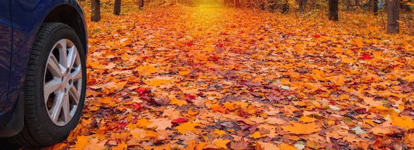 Blue Car Autumn Road Park Tire Leaves Travel Concept — Stock Photo, Image