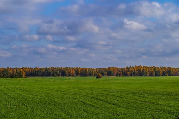 Tarım ve tarım arazili yeşil alan