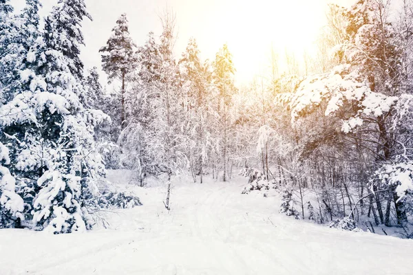 Wunderschöne Winterlandschaft Mit Einer Schneebedeckten Straße Wald Stockbild