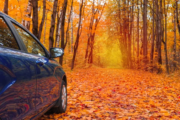Ein Blaues Auto Auf Einer Herbstlichen Straße Park Ein Reifen Stockfoto