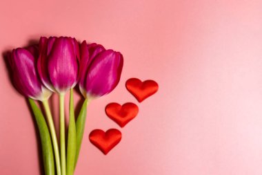 Güzel bir arka planda pembe lale çiçeği ve metin için bir kopya alanı. Tebrik kartı, Uluslararası Kadınlar Günü, Anneler Günü ve Sevgililer Günü Kavramı