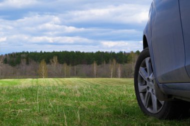 Mavi araba vahşi doğada seyahat eder.
